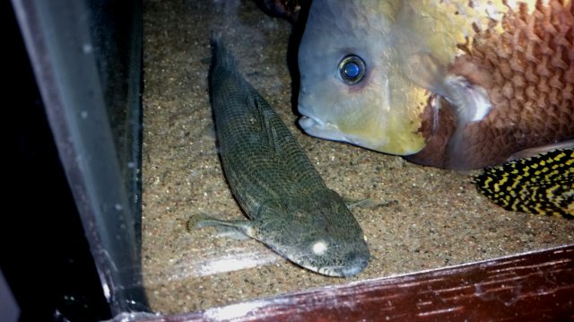 2016-12-23 07.43.44.jpg