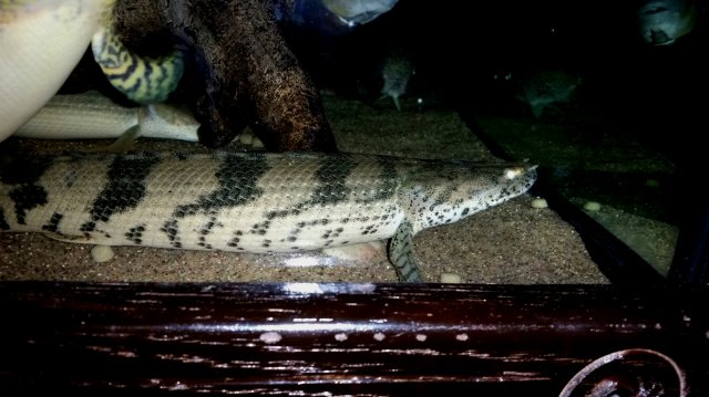 2016-12-23 07.29.08.jpg