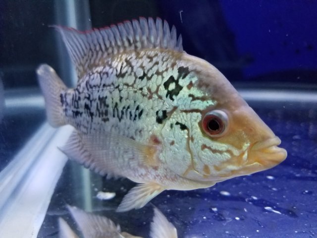 20161212_203104.jpg