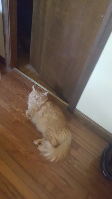 20160830_150917.jpg