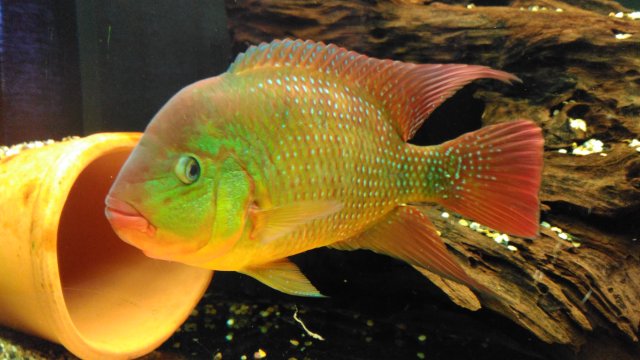 IMG_20161227_103342.jpg IMG_20161227_103342.jpg