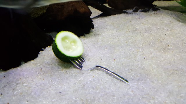 20161227_151032.jpg