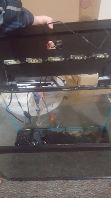 20161229_001451.jpg 20161229_001451.jpg