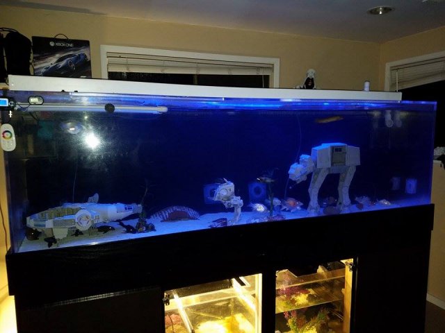Tank3.jpg