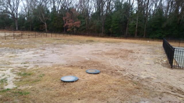 20161229_095216.jpg