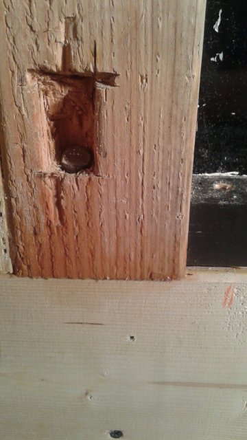 20160612_175842.jpg