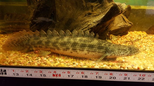 20160706_110523.jpg