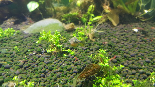 20170101_152727.jpg