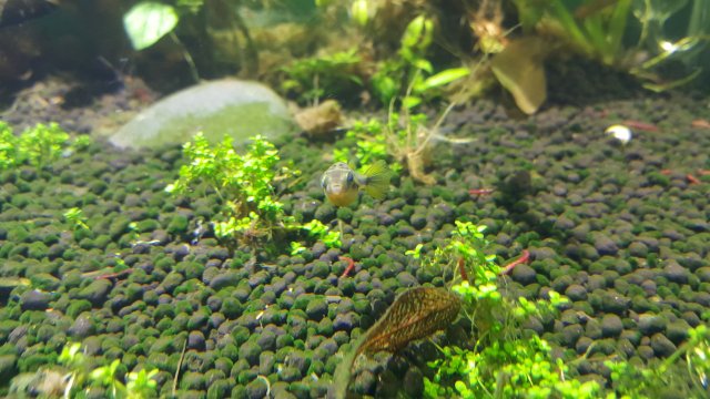 20170101_152728.jpg