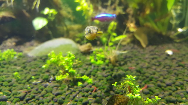 20170101_152741.jpg