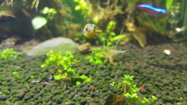 20170101_152742.jpg
