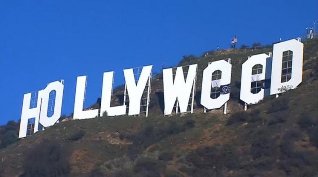 hollyweed.jpg hollyweed.jpg