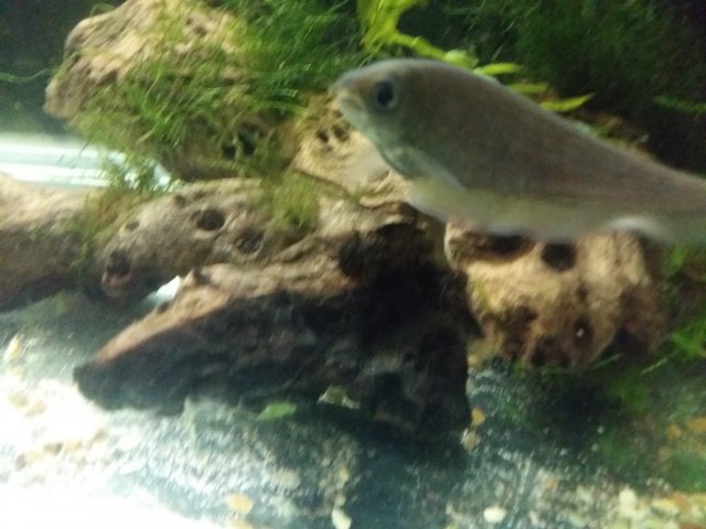 20161225_203757.jpg