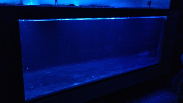 20160706_212857.jpg
