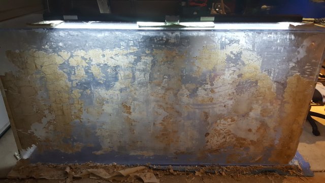 20161008_192256.jpg