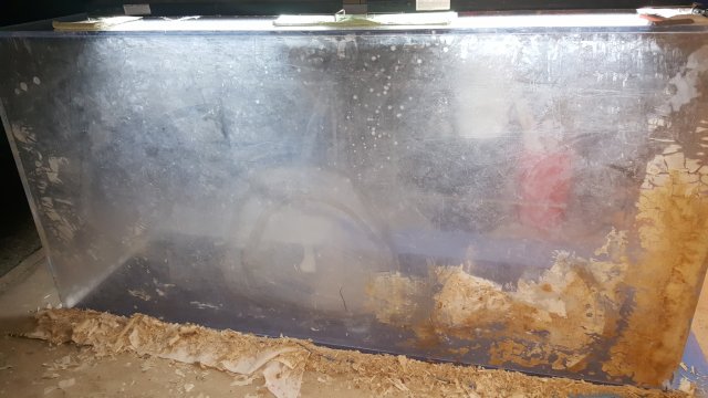 20161008_204340.jpg