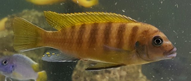 20170103_190339.jpg