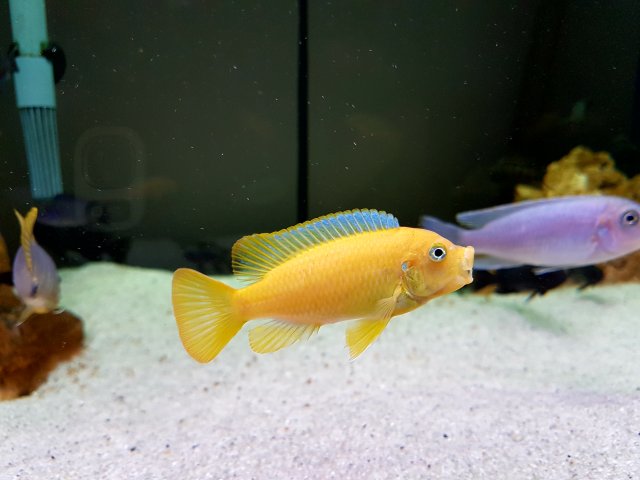 20161103_095051.jpg
