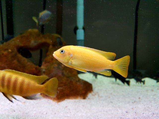 20161103_095256.jpg