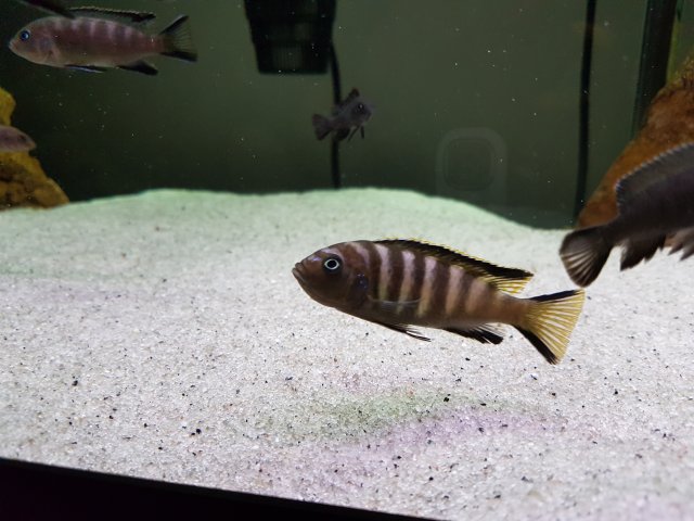 20161103_112424.jpg