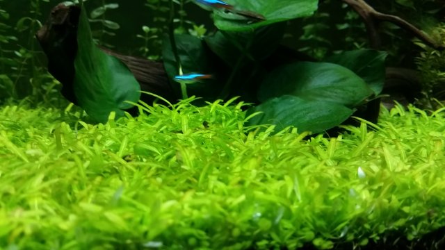 20170105_181657.jpg 20170105_181657.jpg