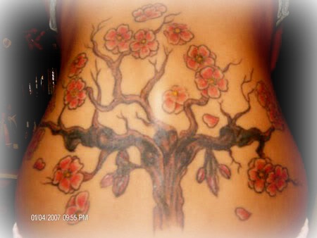 blossomtreee.jpg