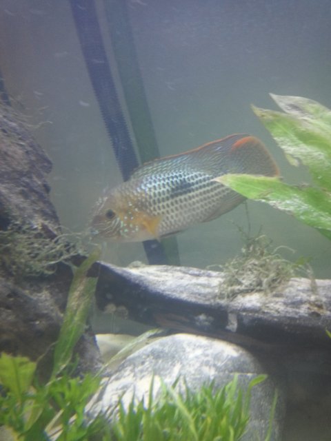 20170107_200041.jpg