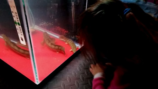 2017-01-08 08.58.49.jpg