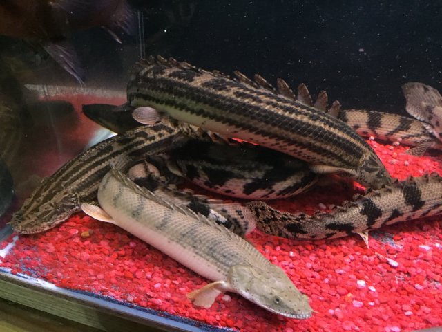 downloadfile-42.jpg downloadfile-42.jpg