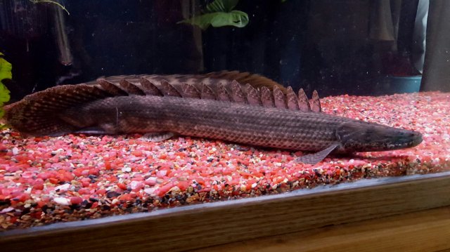 20170108_133655.jpg 20170108_133655.jpg