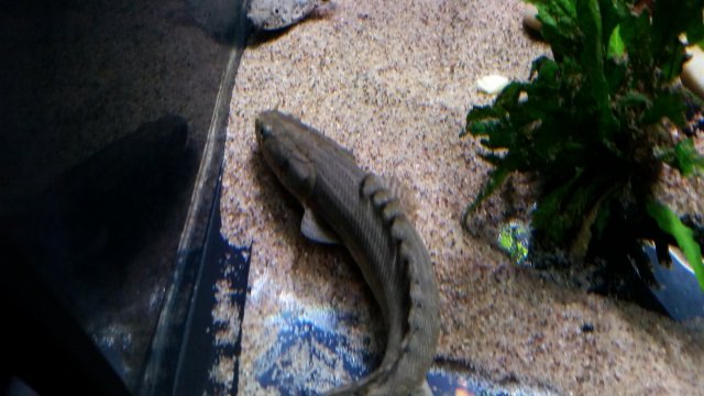 downloadfile-21.jpg downloadfile-21.jpg