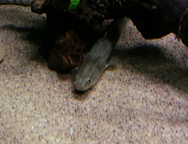 downloadfile-11-1.jpg downloadfile-11-1.jpg