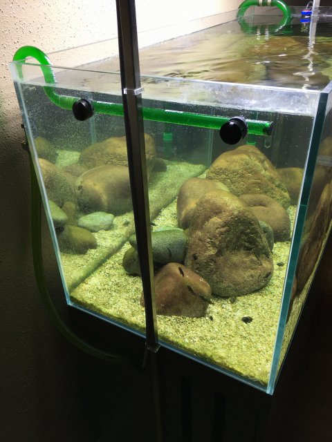 IMG_0202.JPG IMG_0202.JPG