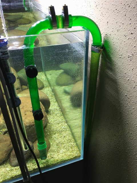 IMG_0204.JPG IMG_0204.JPG