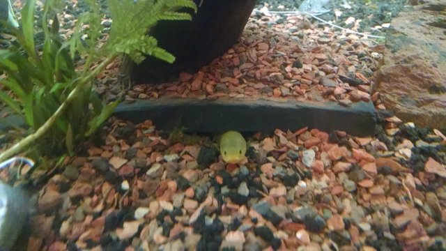 IMG_20170106_160807117.jpg