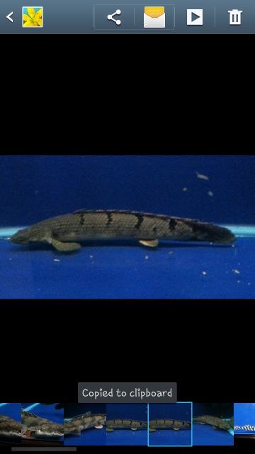 Screenshot_2017-01-09-16-14-34.png Screenshot_2017-01-09-16-14-34.png