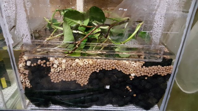 20170109_211627.jpg 20170109_211627.jpg