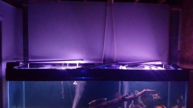 20170109_223249.jpg 20170109_223249.jpg