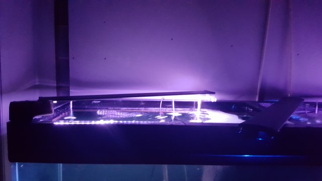 20170109_223204.jpg 20170109_223204.jpg