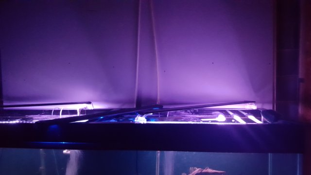 20170109_223214.jpg 20170109_223214.jpg