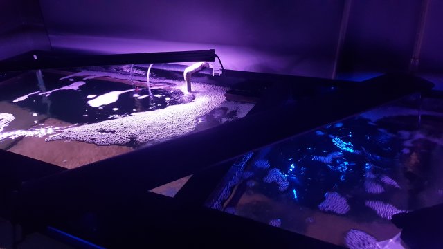 20170109_223225.jpg 20170109_223225.jpg