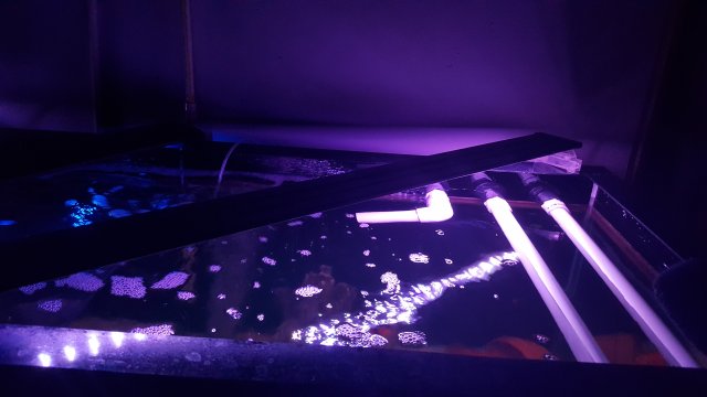 20170109_223218.jpg 20170109_223218.jpg