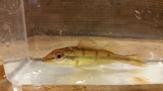 20170109_140051.jpg 20170109_140051.jpg