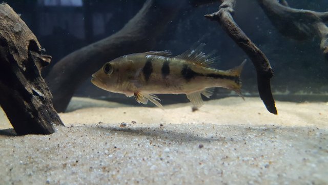 20170110_152839.jpg