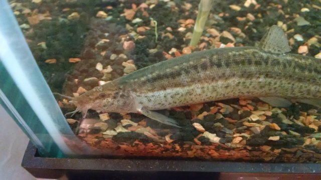 IMG_20170111_095210773.jpg