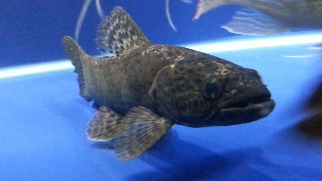 20170106_233428.jpg