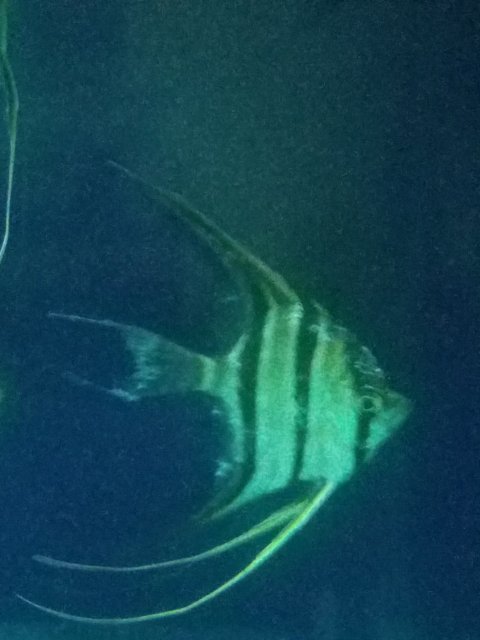 20170113_032921.jpg 20170113_032921.jpg