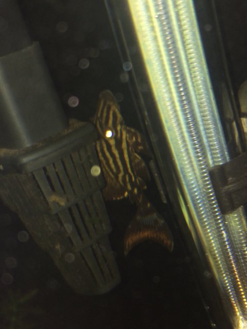 IMG_3753.JPG IMG_3753.JPG