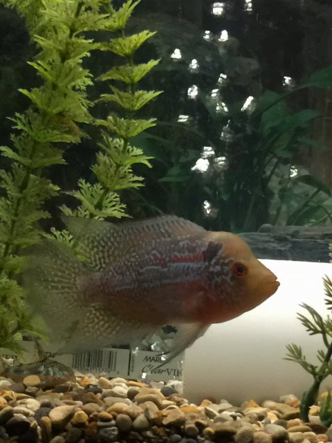 IMG_4422.JPG IMG_4422.JPG