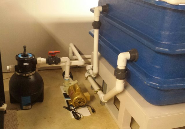 Pump & Filter Area.jpg